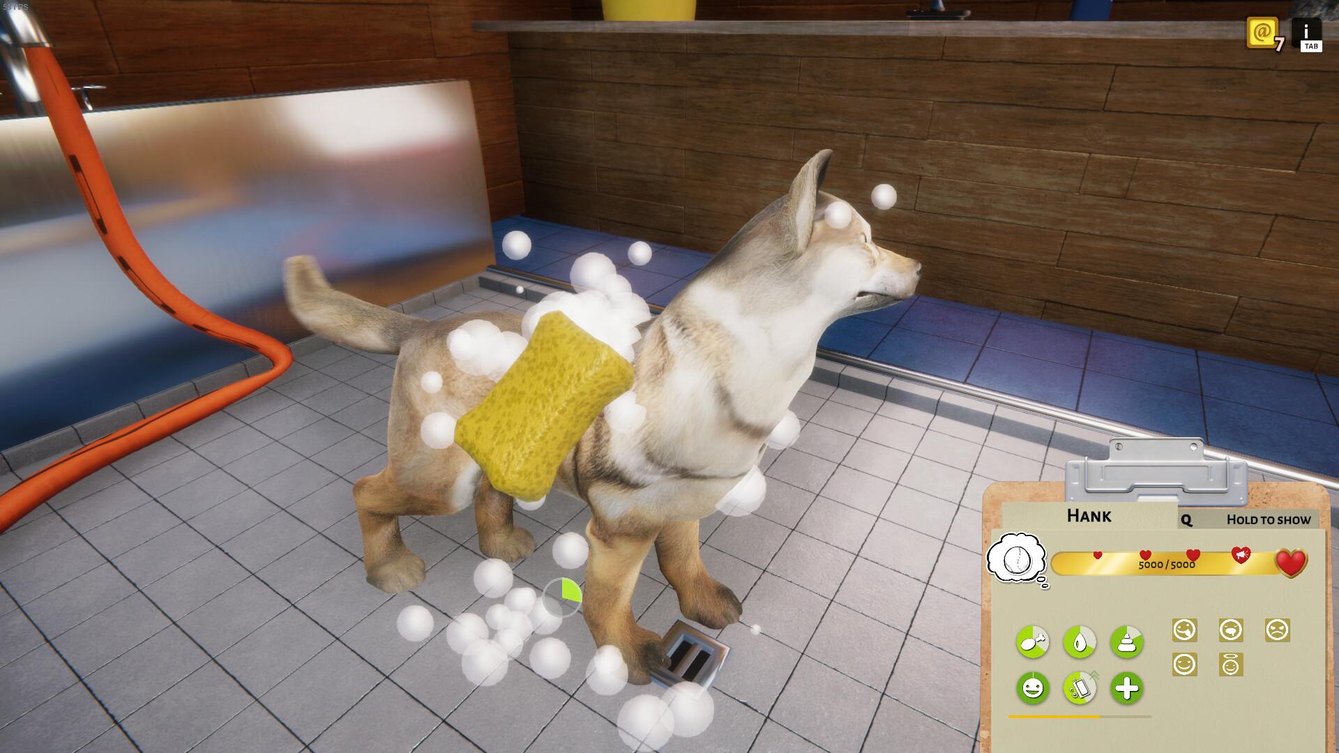 Animal Shelter screenshot 14