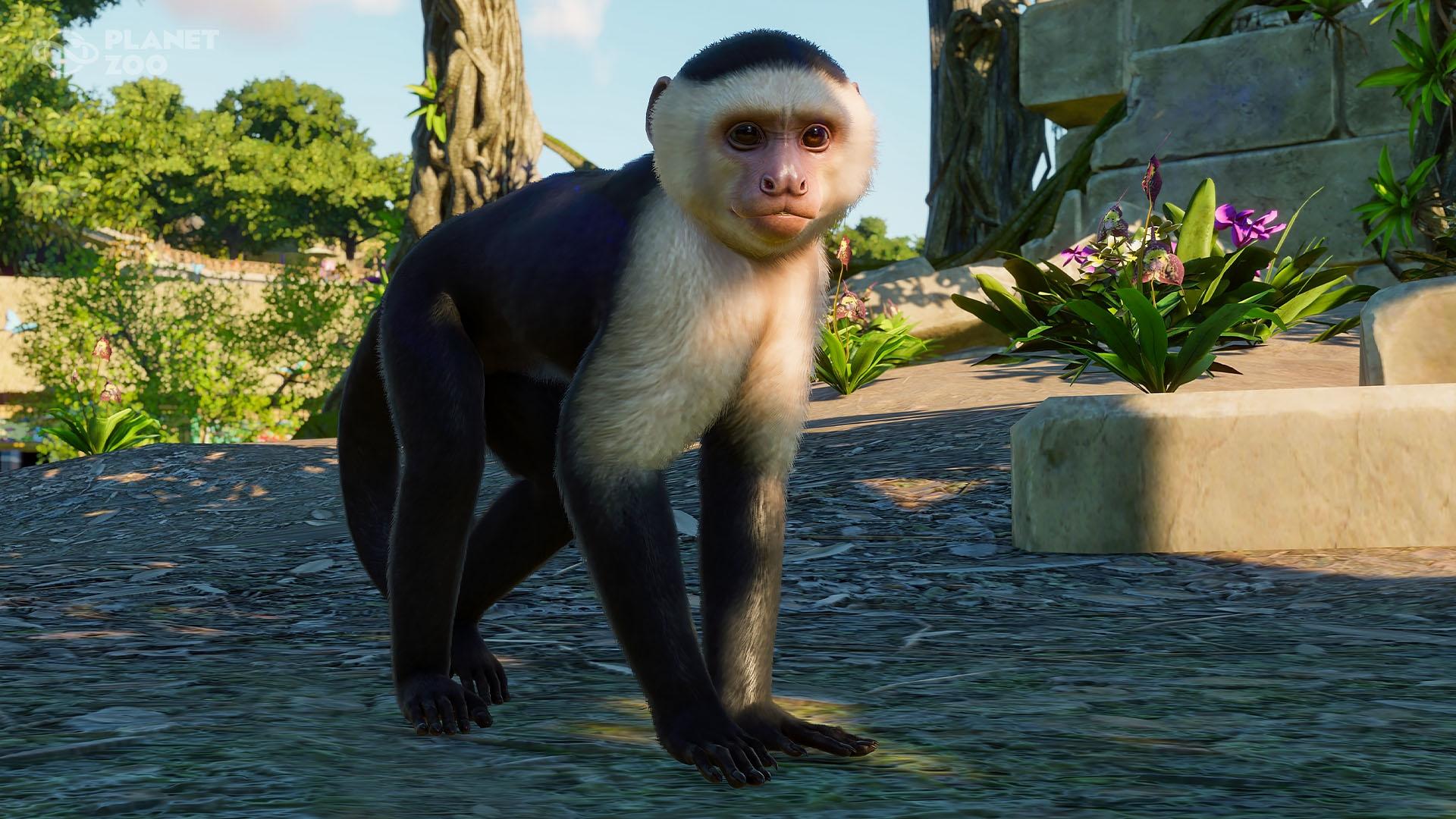 Planet Zoo: South America Pack screenshot 0