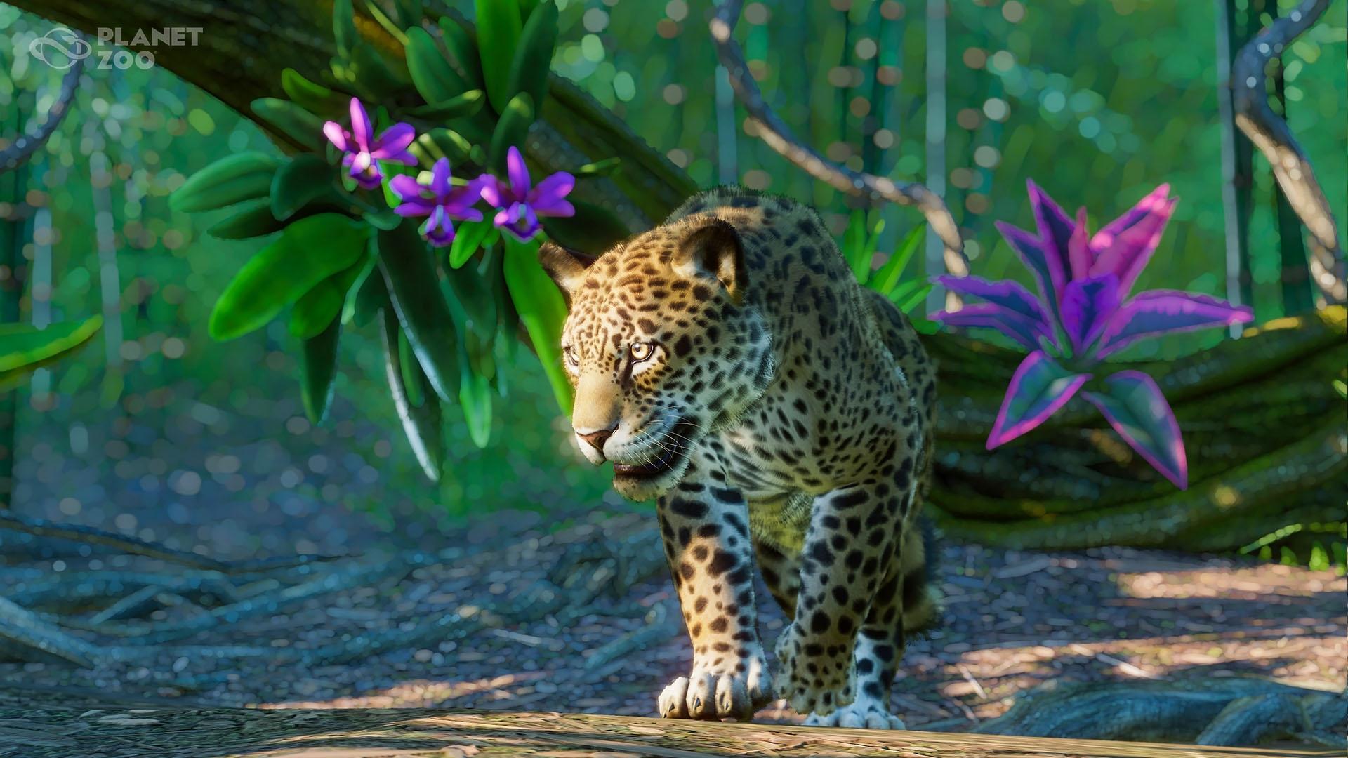 Planet Zoo: South America Pack screenshot 8