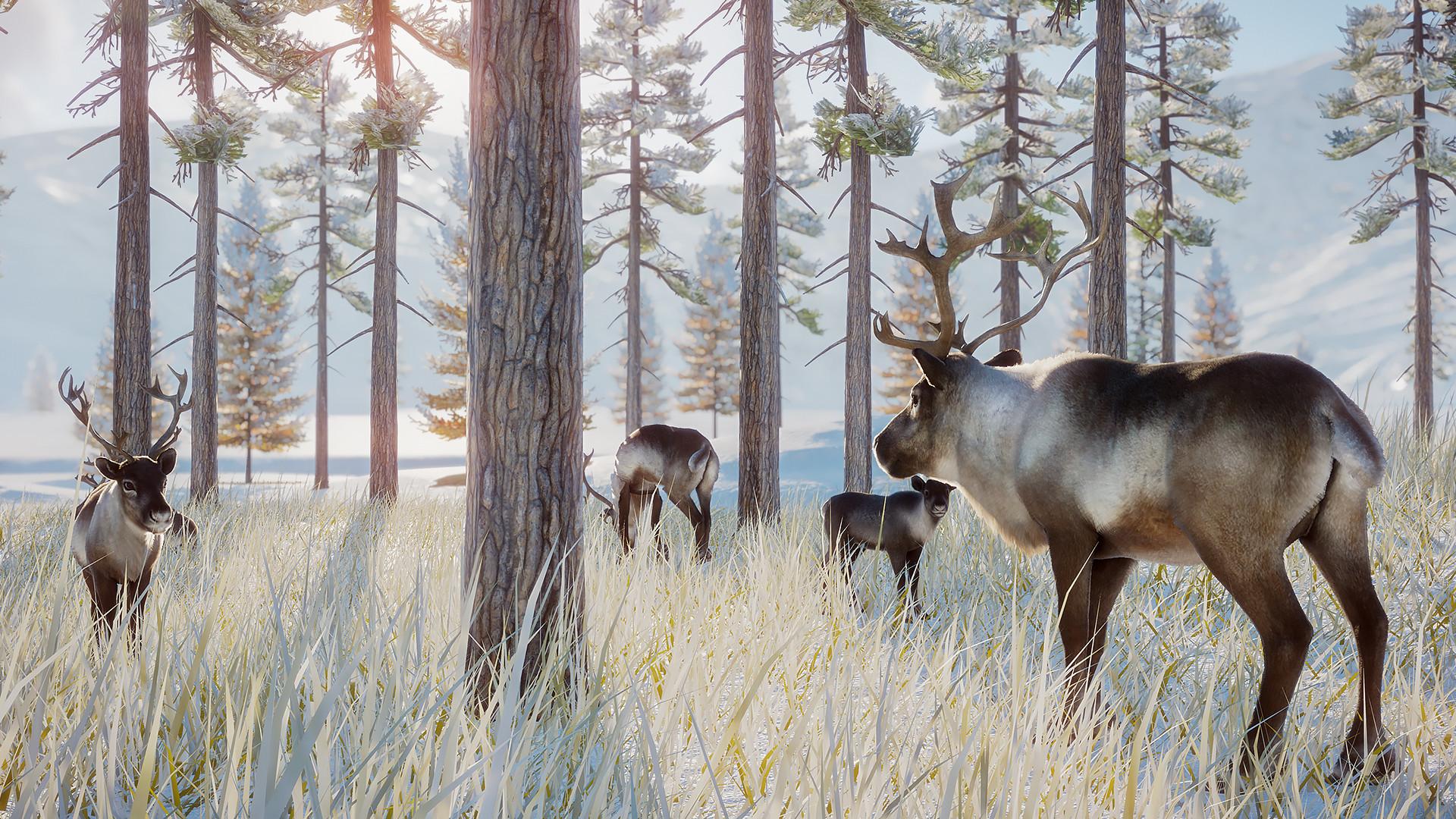 Planet Zoo: Arctic Pack screenshot 2