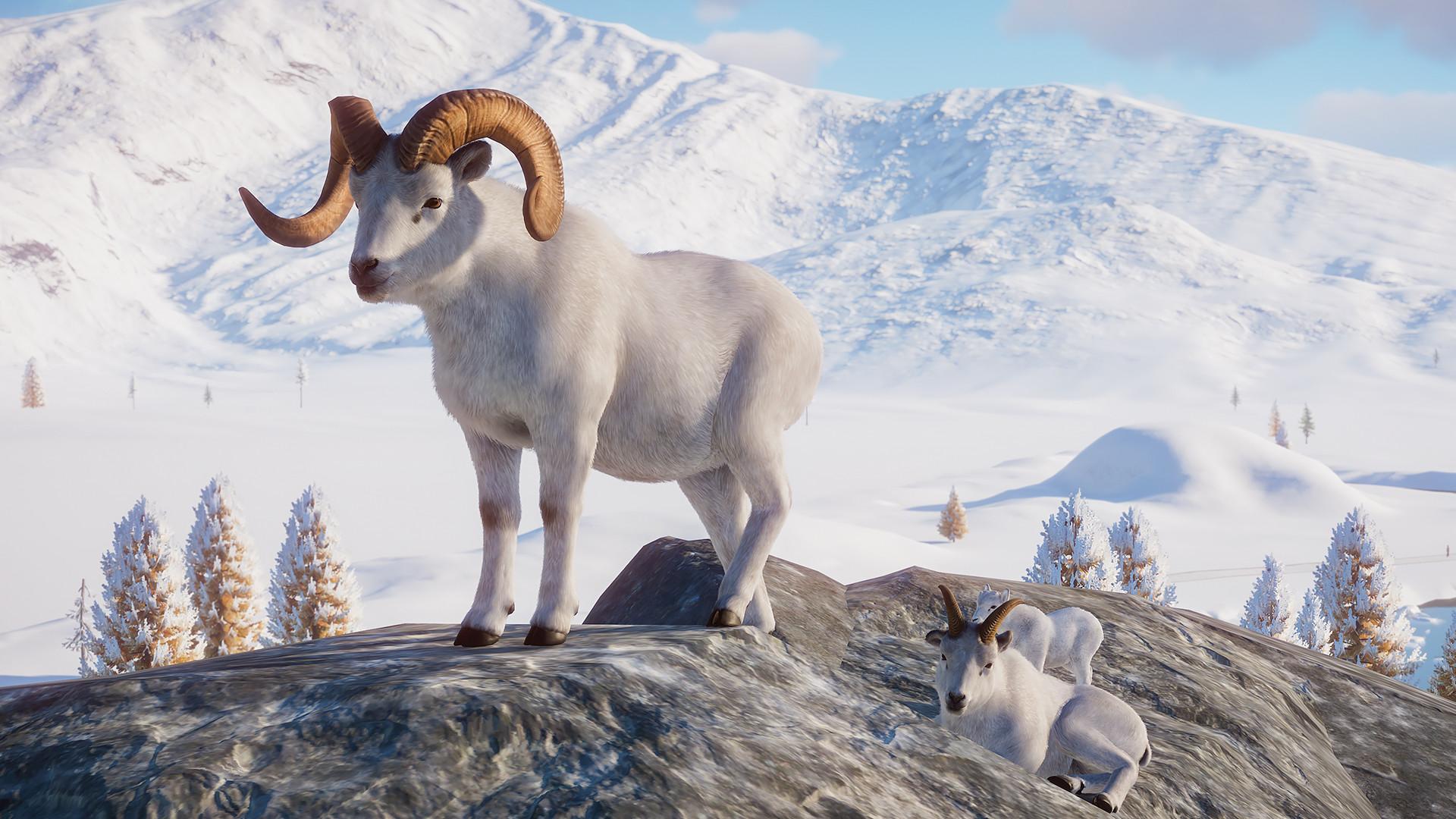 Planet Zoo: Arctic Pack screenshot 9