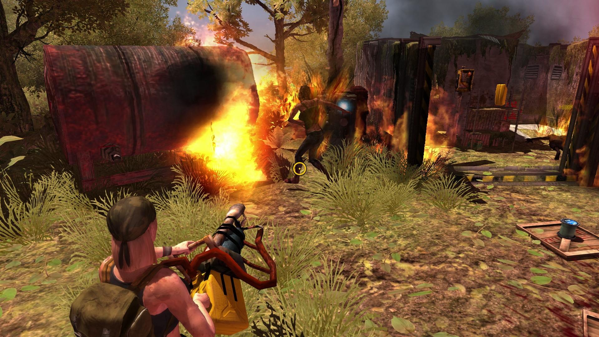 How to Survive Third Person Standalone screenshot 11