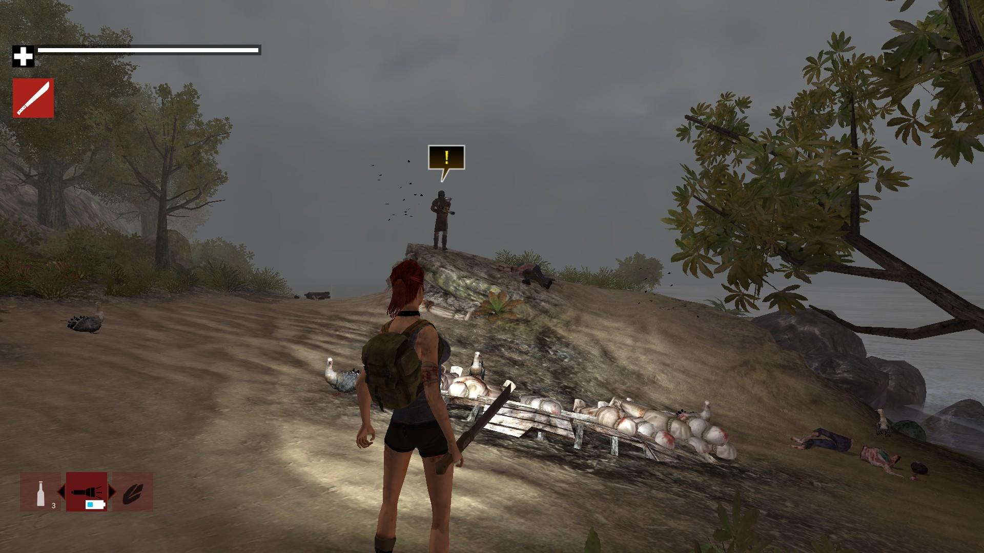 How to Survive Third Person Standalone screenshot 5