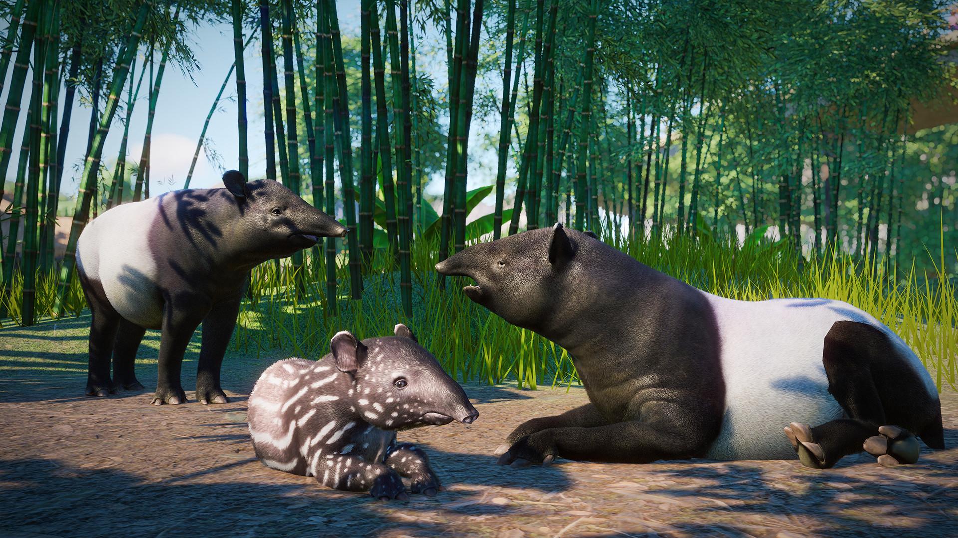 Planet Zoo: Southeast Asia Animal Pack screenshot 8